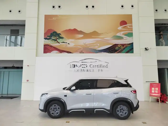 Yuan UP 2025 Model Smart Driving Edition 401KM Vitality Edition – фото 3