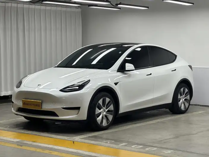 Model Y 2022 Model Facelift Rear-wheel drive version – фото 1