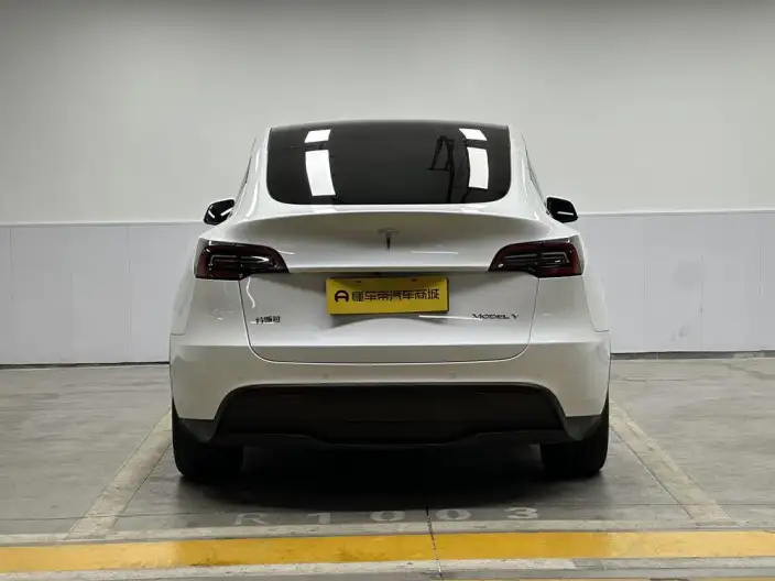 Model Y 2022 Model Facelift Rear-wheel drive version – фото 6