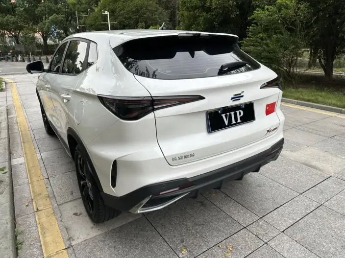 Changan Auchan X5 PLUS 2023 Model 1.5T DCT Pioneer Model – фото 4