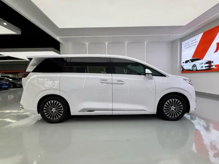 DENZA D9 DM 2022 Model 970 4WD Zunrong Model – фото 7