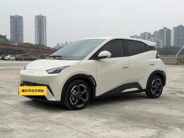 BYD Seagull 2024 Model Honor Edition 305KM Free Edition – фото 1