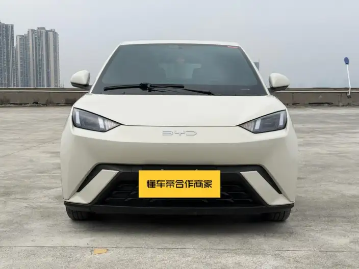 BYD Seagull 2024 Model Honor Edition 305KM Free Edition – фото 2