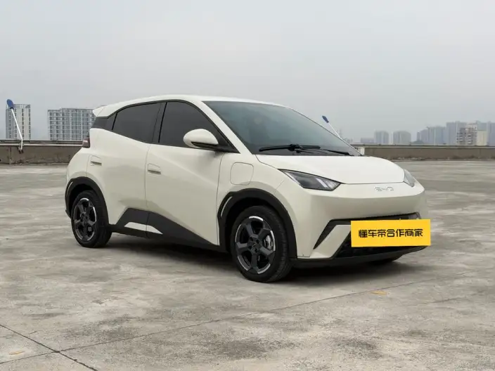 BYD Seagull 2024 Model Honor Edition 305KM Free Edition – фото 3