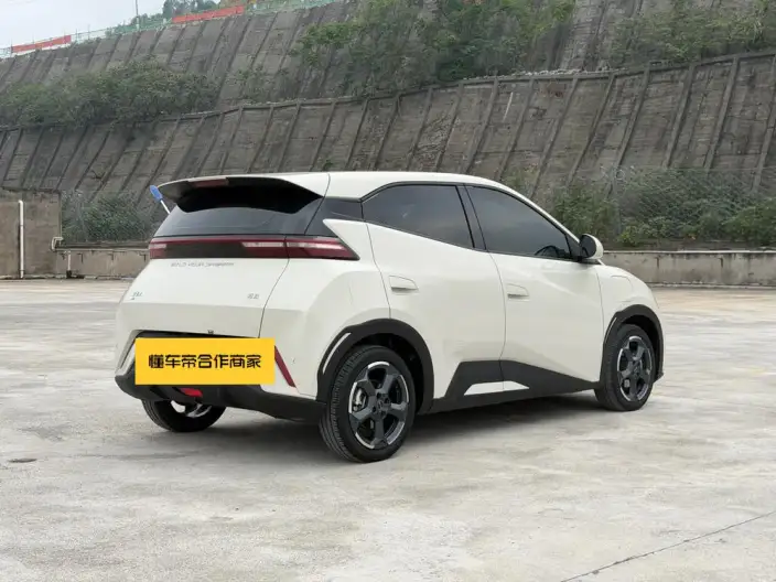 BYD Seagull 2024 Model Honor Edition 305KM Free Edition – фото 6