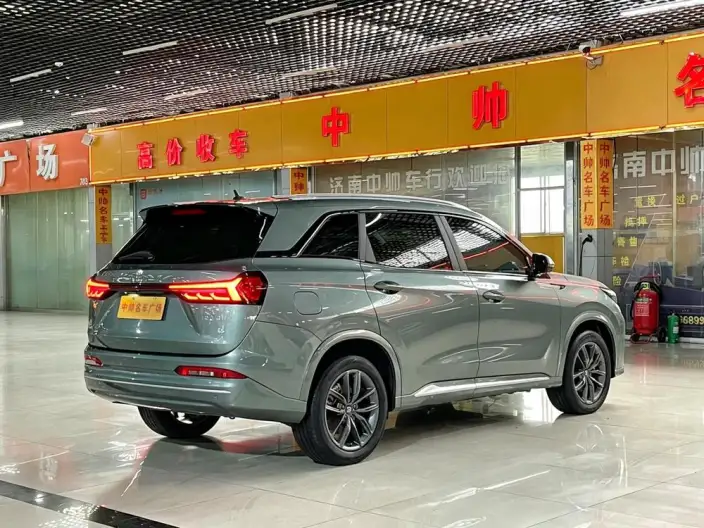 Blue Electric E5 2023 Model 1.5L DE-i Changxiang Edition Model – фото 6