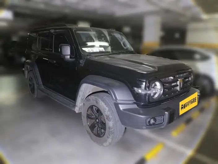 Tank 300 2024 Model 2.0T Challenger – фото 3