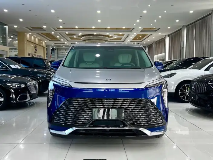 Century 2023 Model 2.0T VII seat Yunshi Edition – фото 2