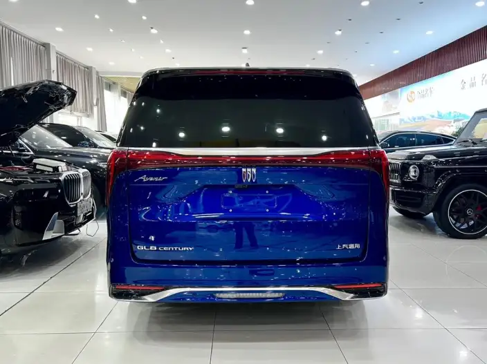 Century 2023 Model 2.0T VII seat Yunshi Edition – фото 3
