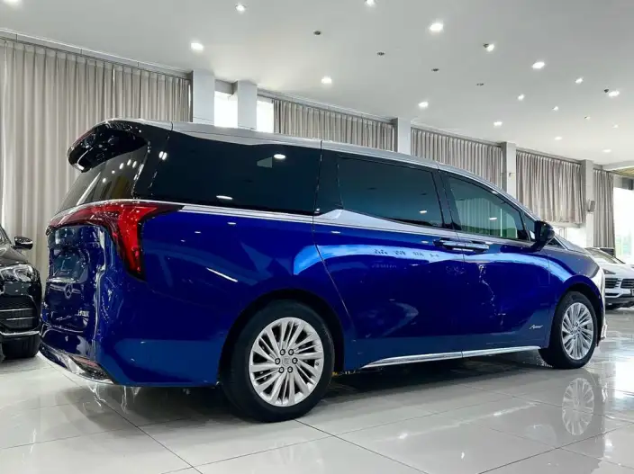 Century 2023 Model 2.0T VII seat Yunshi Edition – фото 4