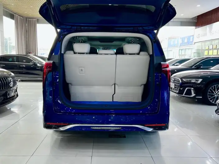 Century 2023 Model 2.0T VII seat Yunshi Edition – фото 6