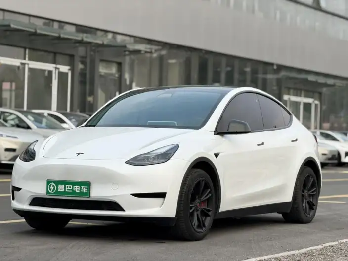 Model Y 2022 Model Facelift Rear-wheel drive version – фото 1