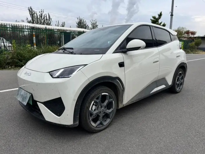 BYD Seagull 2025 Model Smart Driving Edition 405KM Feixiang Edition – фото 1