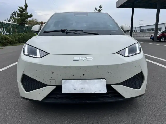 BYD Seagull 2025 Model Smart Driving Edition 405KM Feixiang Edition – фото 2