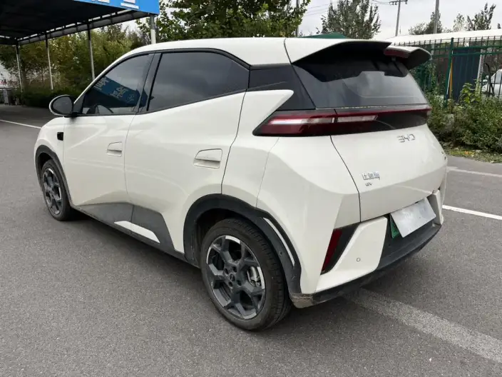BYD Seagull 2025 Model Smart Driving Edition 405KM Feixiang Edition – фото 5