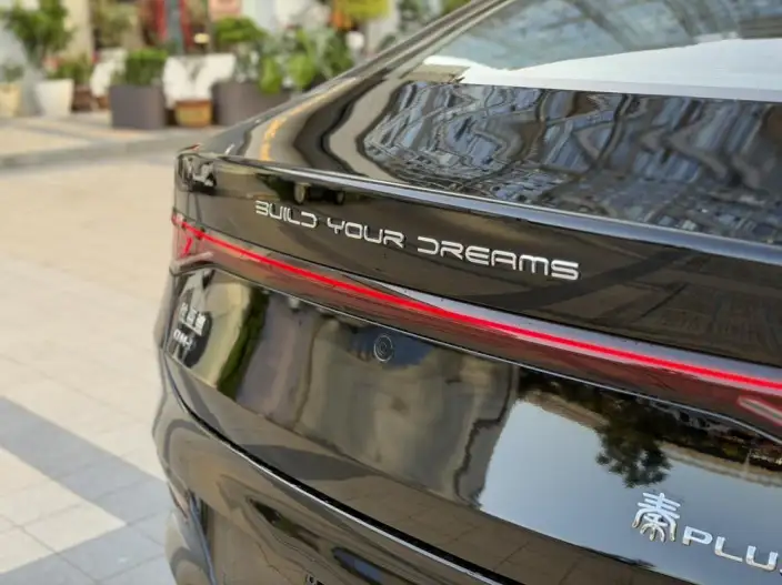 BYD Qin PLUS DM 2023 Model DM-i Champion Edition 55KM Leading Model – фото 10