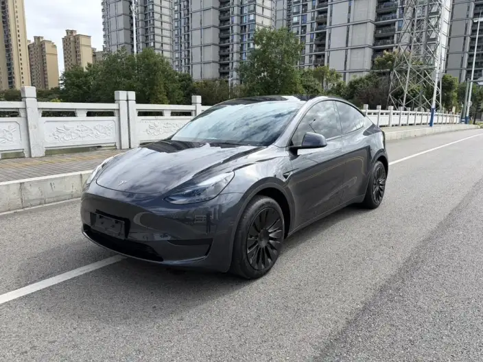 Model Y 2024 Model Rear-wheel drive version – фото 1