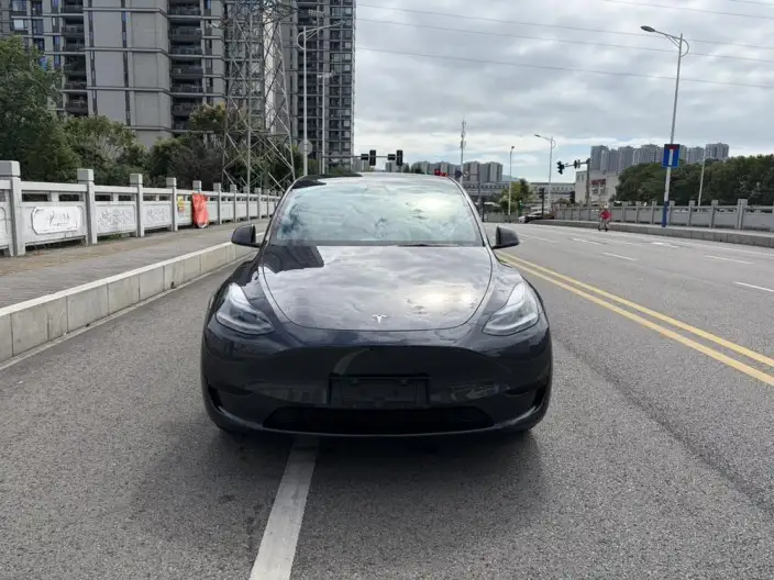 Model Y 2024 Model Rear-wheel drive version – фото 2