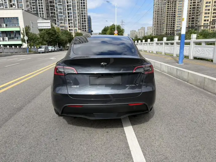 Model Y 2024 Model Rear-wheel drive version – фото 3