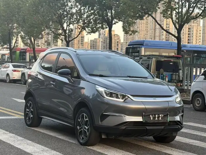 Yuan Pro 2023 Model 401KM Luxury Model – фото 3