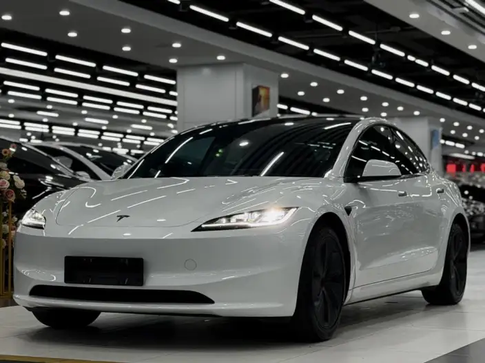 Model 3 2025 Model Facelift Rear-wheel drive version – фото 1