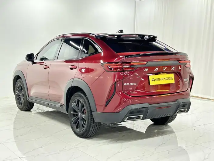 Haval H6S 2022 Model 2.0T Smart Run Edition – фото 5