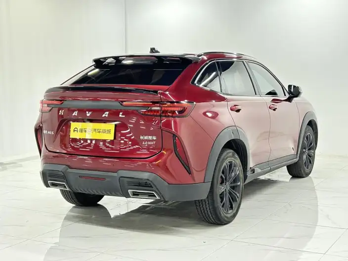 Haval H6S 2022 Model 2.0T Smart Run Edition – фото 7