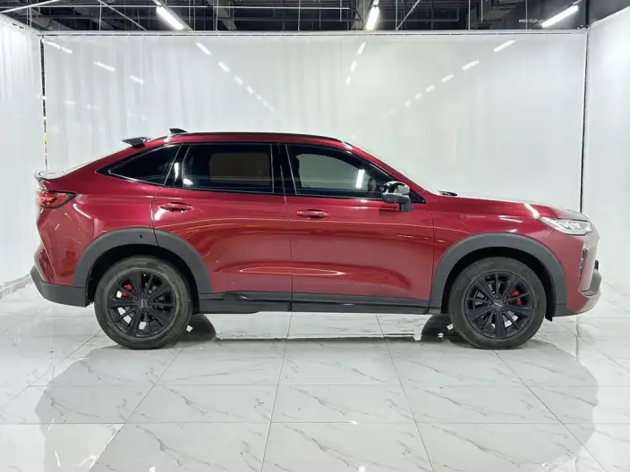 Haval H6S 2022 Model 2.0T Smart Run Edition – фото 8