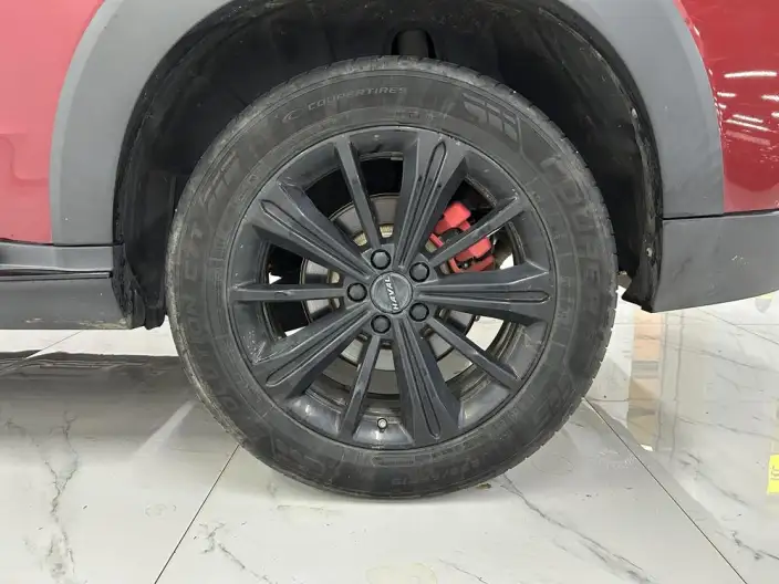 Haval H6S 2022 Model 2.0T Smart Run Edition – фото 9