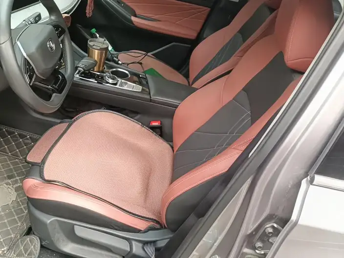 Changan Eado 2022 Model PLUS Blue whale NE 1.4T GDI DCT Noble Model – фото 10