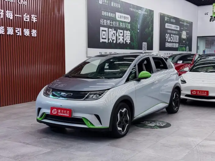 BYD Dolphin 2021 Model Fashion Edition – фото 1