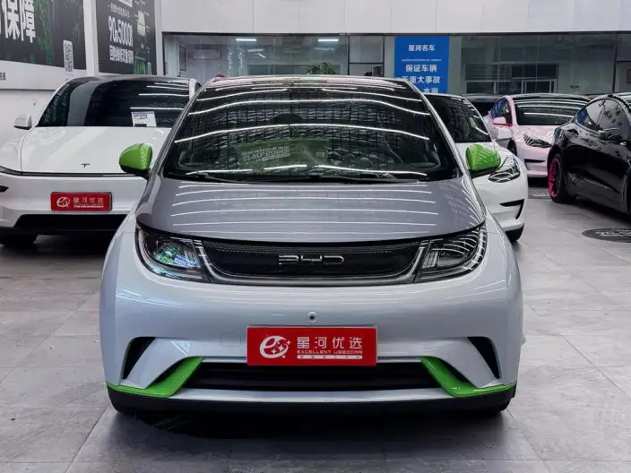 BYD Dolphin 2021 Model Fashion Edition – фото 2