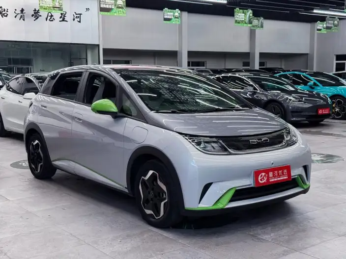 BYD Dolphin 2021 Model Fashion Edition – фото 3