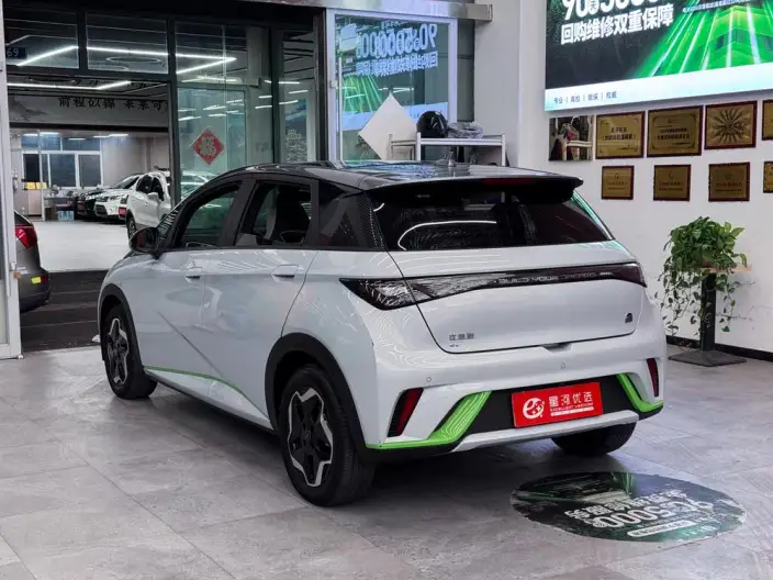 BYD Dolphin 2021 Model Fashion Edition – фото 5