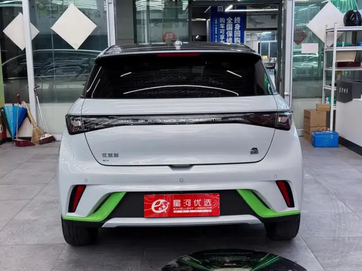 BYD Dolphin 2021 Model Fashion Edition – фото 6
