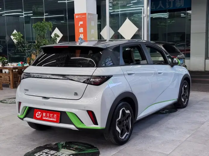 BYD Dolphin 2021 Model Fashion Edition – фото 7