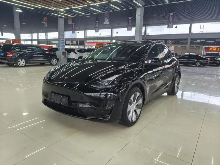 Model Y 2022 Model Facelift Rear-wheel drive version – фото 1