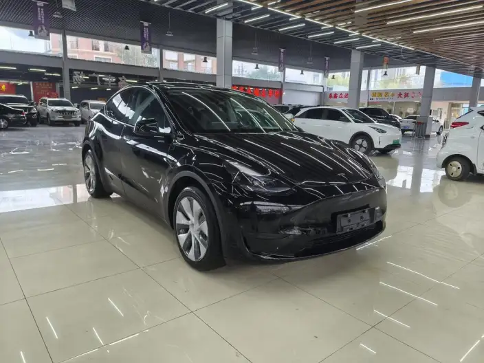 Model Y 2022 Model Facelift Rear-wheel drive version – фото 3