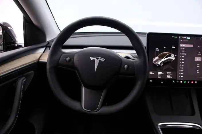 Model Y 2022 Model Facelift Long Battery Life Pro All-wheel drive version – фото 10