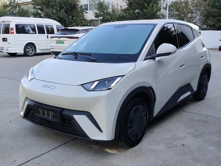 BYD Seagull 2025 Model 305KM Vitality Edition – фото 1