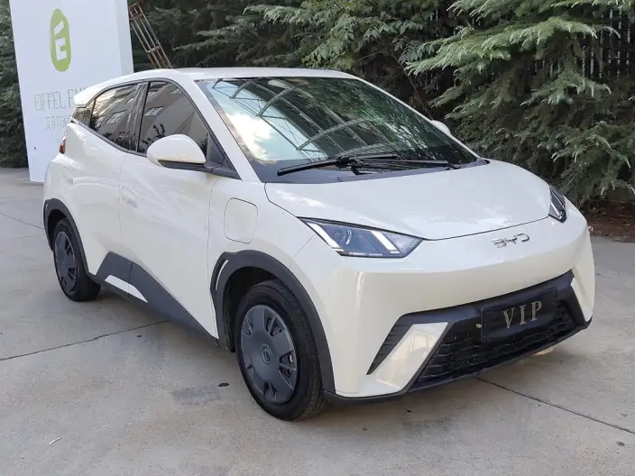 BYD Seagull 2025 Model 305KM Vitality Edition – фото 3