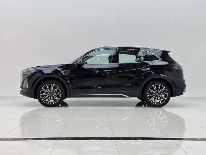 Hongqi HS5 2025 Model 2.0T 4WD Flag Xiang Pro Edition – фото 4