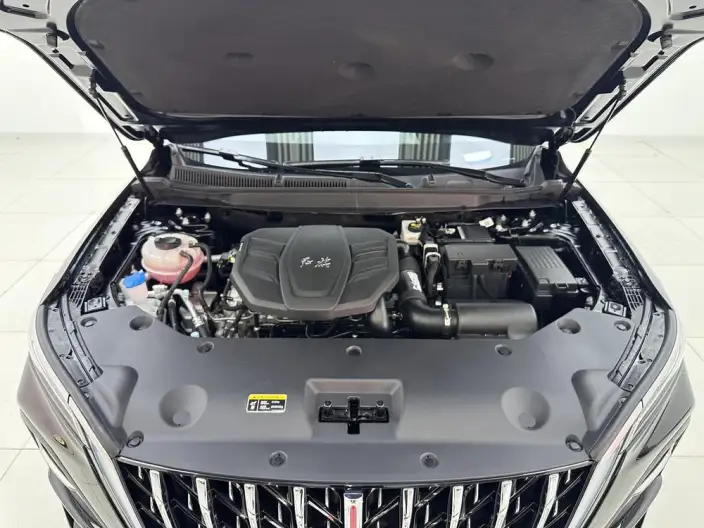 Hongqi HS5 2025 Model 2.0T 4WD Flag Xiang Pro Edition – фото 10