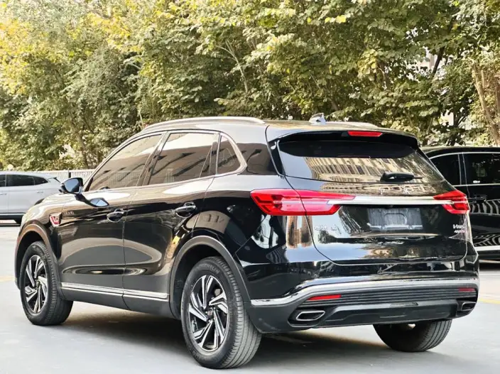 Hongqi HS5 2022 Model Facelift 2.0T Smart Flag Enjoy Edition – фото 4