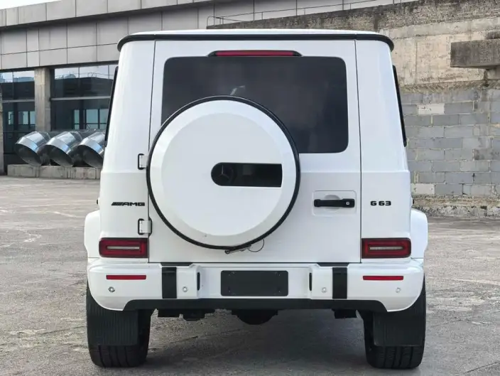 Mercedes-Benz G-Class 2023 Model G 350 – фото 4