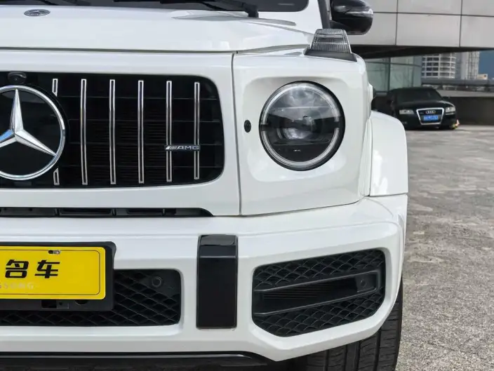 Mercedes-Benz G-Class 2023 Model G 350 – фото 9