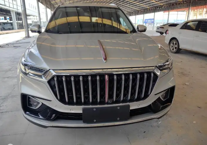 Hongqi HS5 2022 Model Facelift 2.0T Smart Flag Enjoy 4WD Edition – фото 2