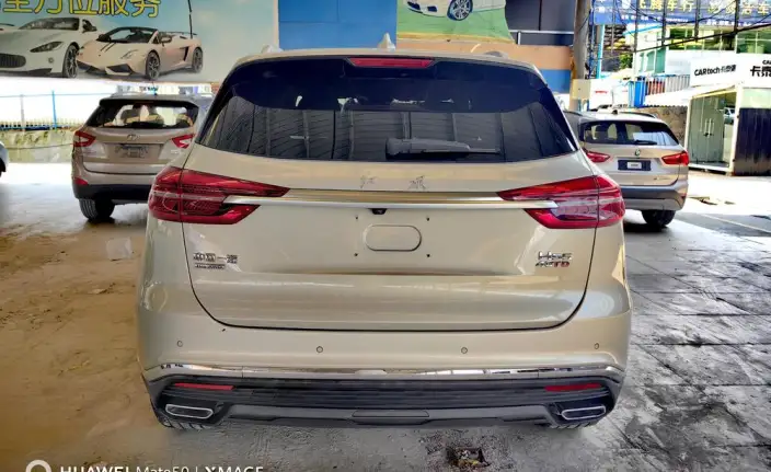 Hongqi HS5 2022 Model Facelift 2.0T Smart Flag Enjoy 4WD Edition – фото 5