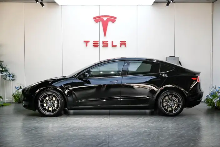 Model 3 2022 Model Rear-wheel drive version – фото 3