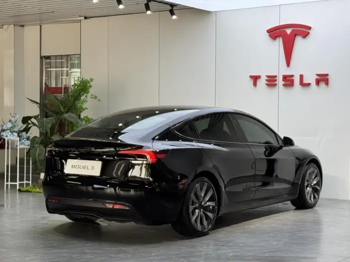 Model 3 2023 Model Long Battery Life Pro All-wheel drive version – фото 5
